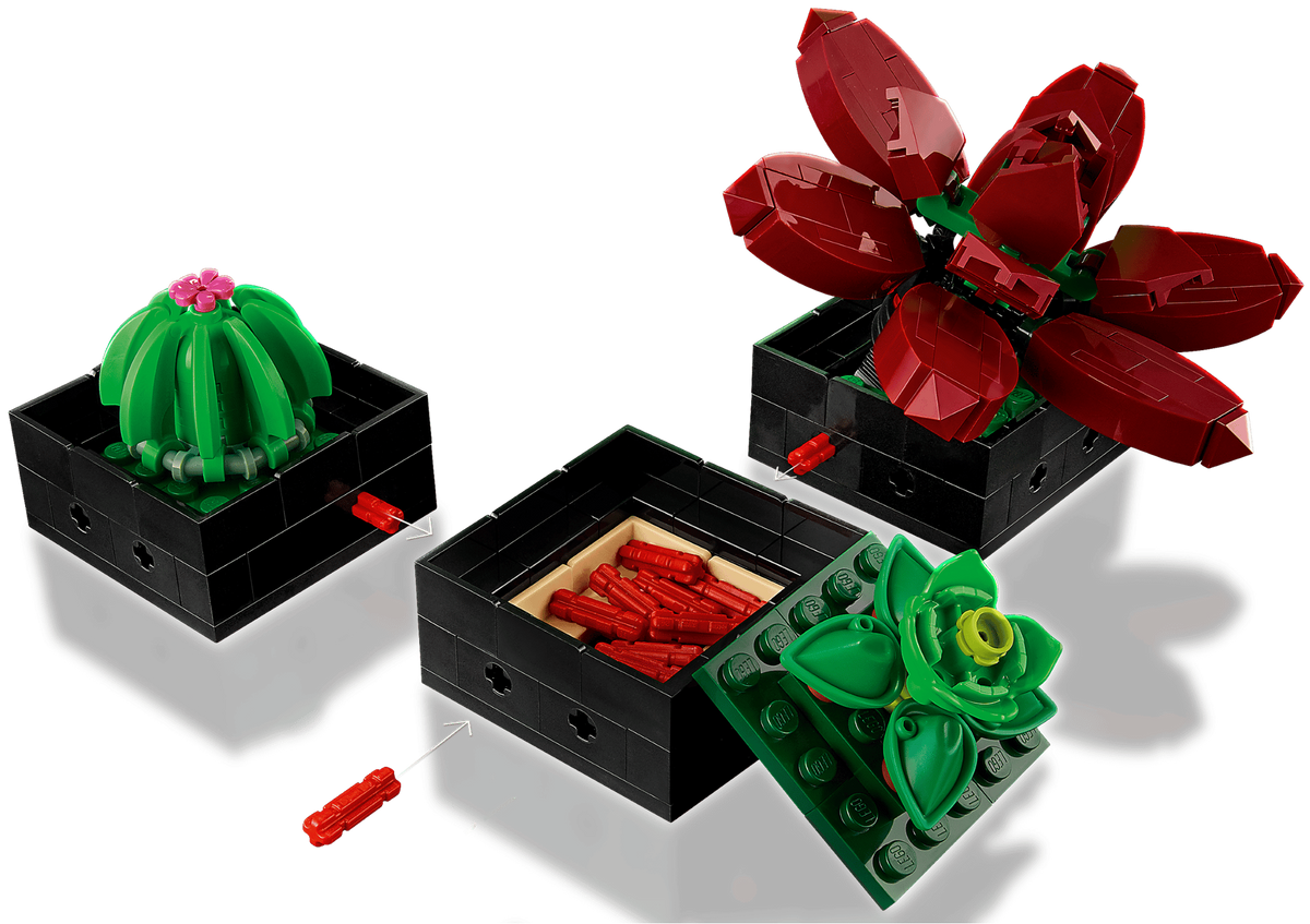 LEGO Botanicals Botanical Collection Succulents 10309