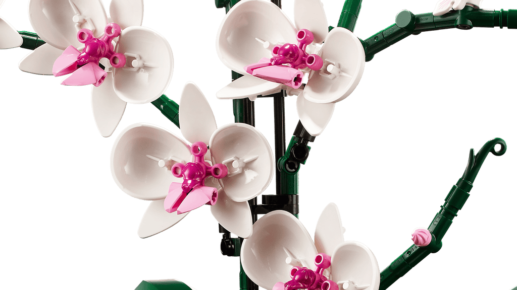 LEGO Botanicals Botanical Collection Orchid 10311