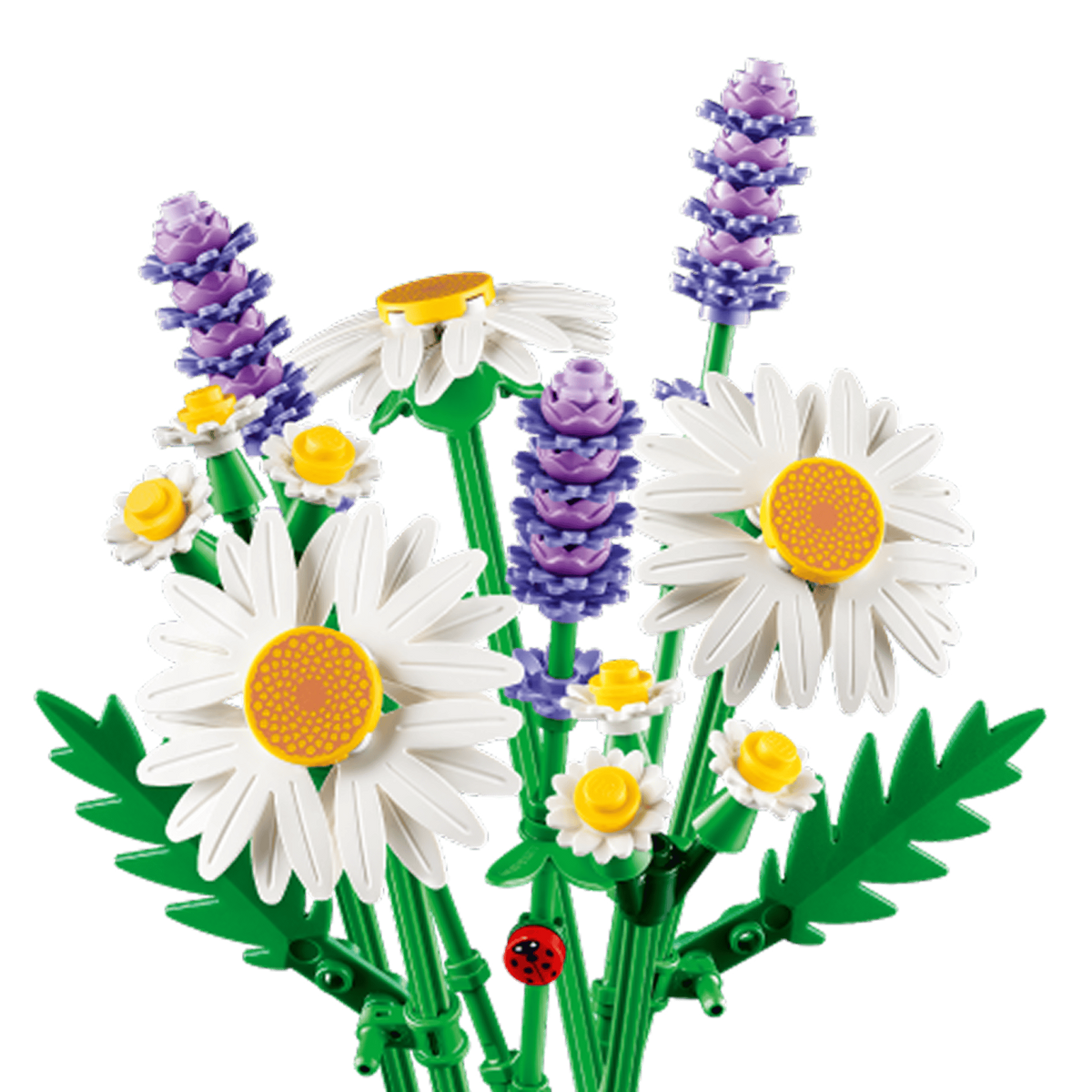 LEGO Botanicals Daisies 11508