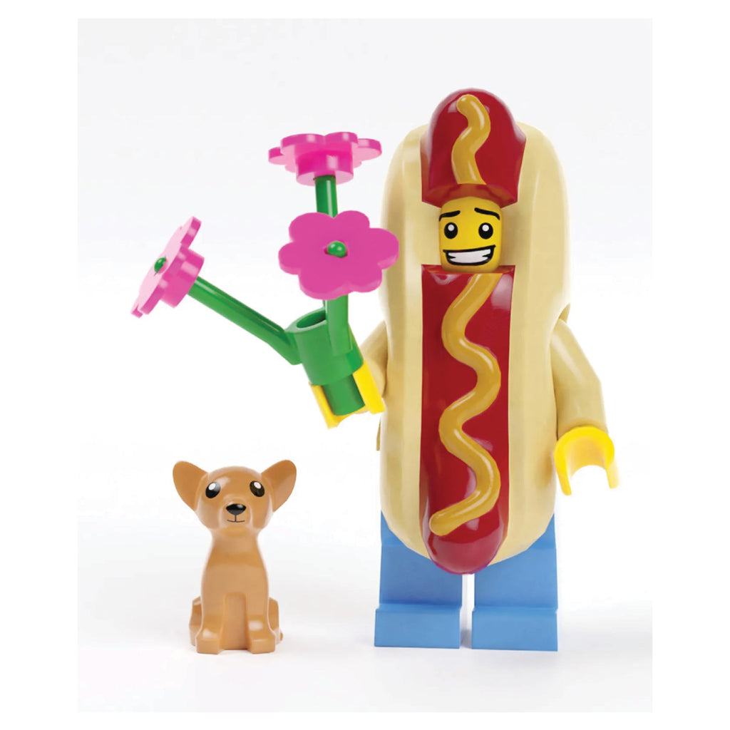 LEGO - Minifigure Notes - 9781452182285