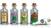 Harry Potter: The Hogwarts Icons Collection
