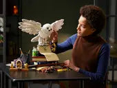 Harry Potter: The Hogwarts Icons Collection