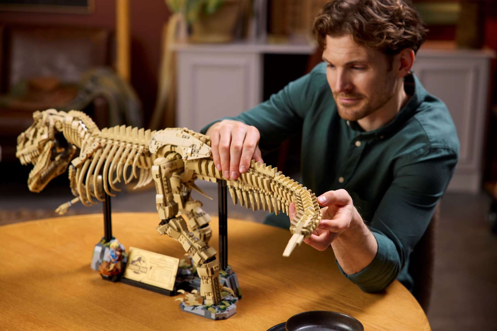 Man assembling a detailed tan LEGO Jurassic Park T-rex dinosaur fossil model on a wooden table. Bricking Lebanon