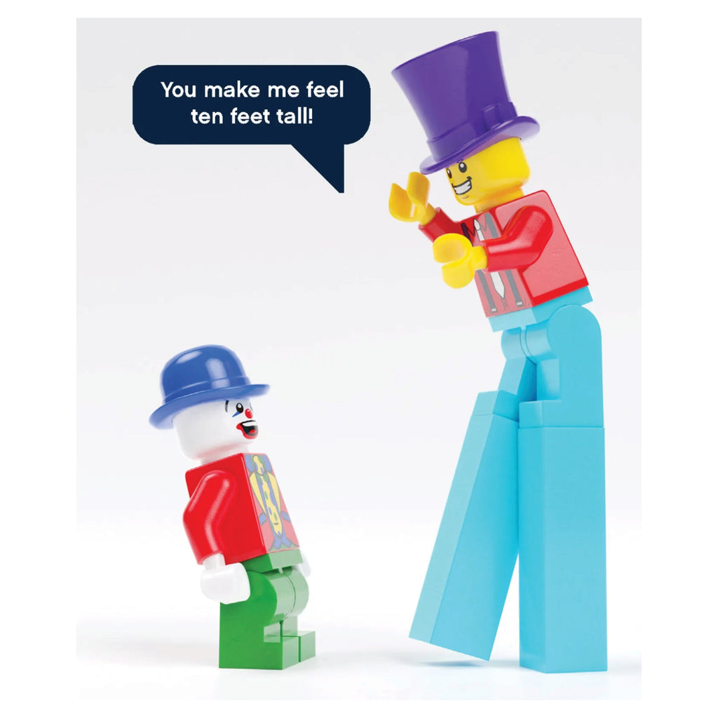 LEGO - Minifigure Notes - 9781452182285