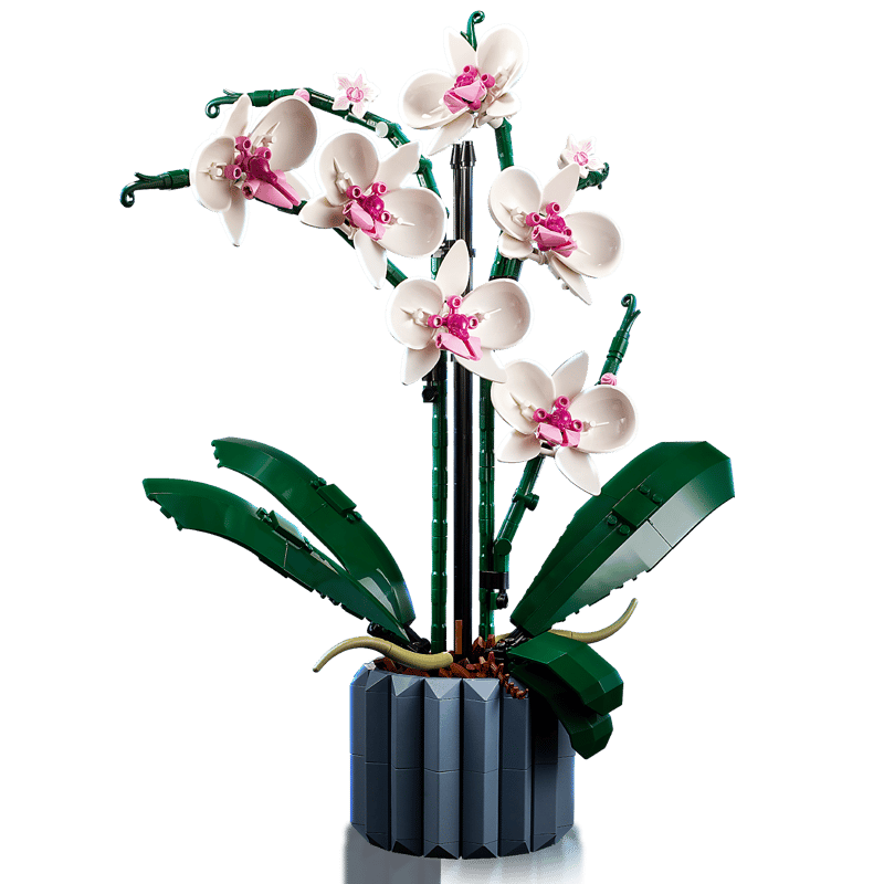 LEGO Botanical Collection Orchid