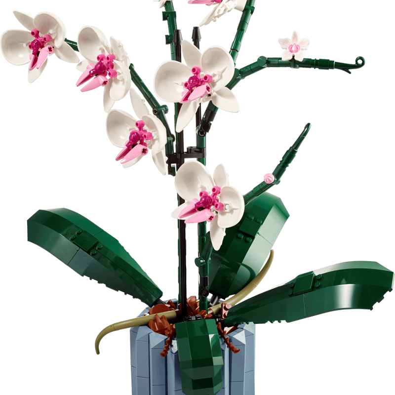 LEGO Botanical Collection Orchid