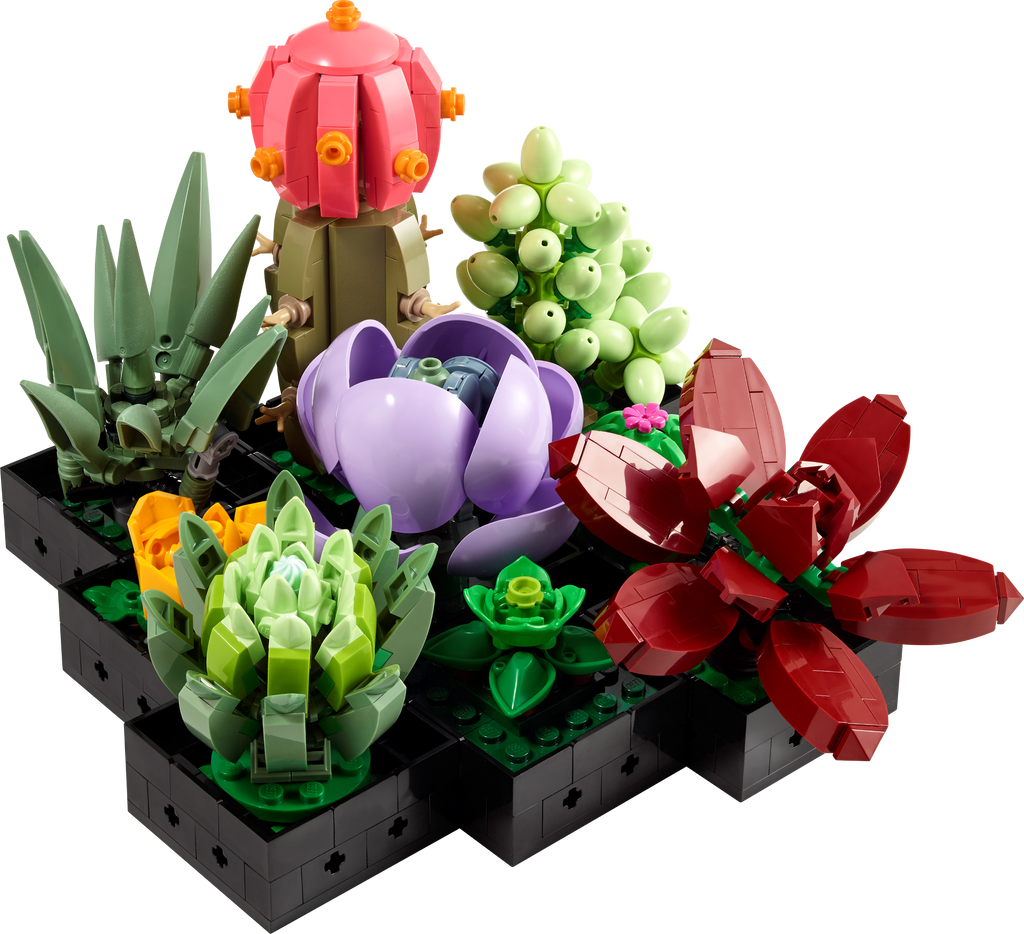 LEGO Botanicals Botanical Collection Succulents 10309