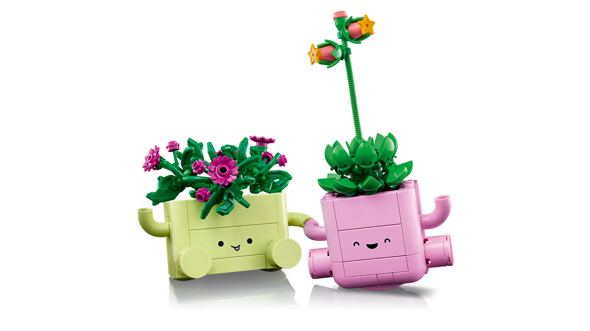 LEGO Botanicals Rocking Plants Building Set for Creative Display 11506