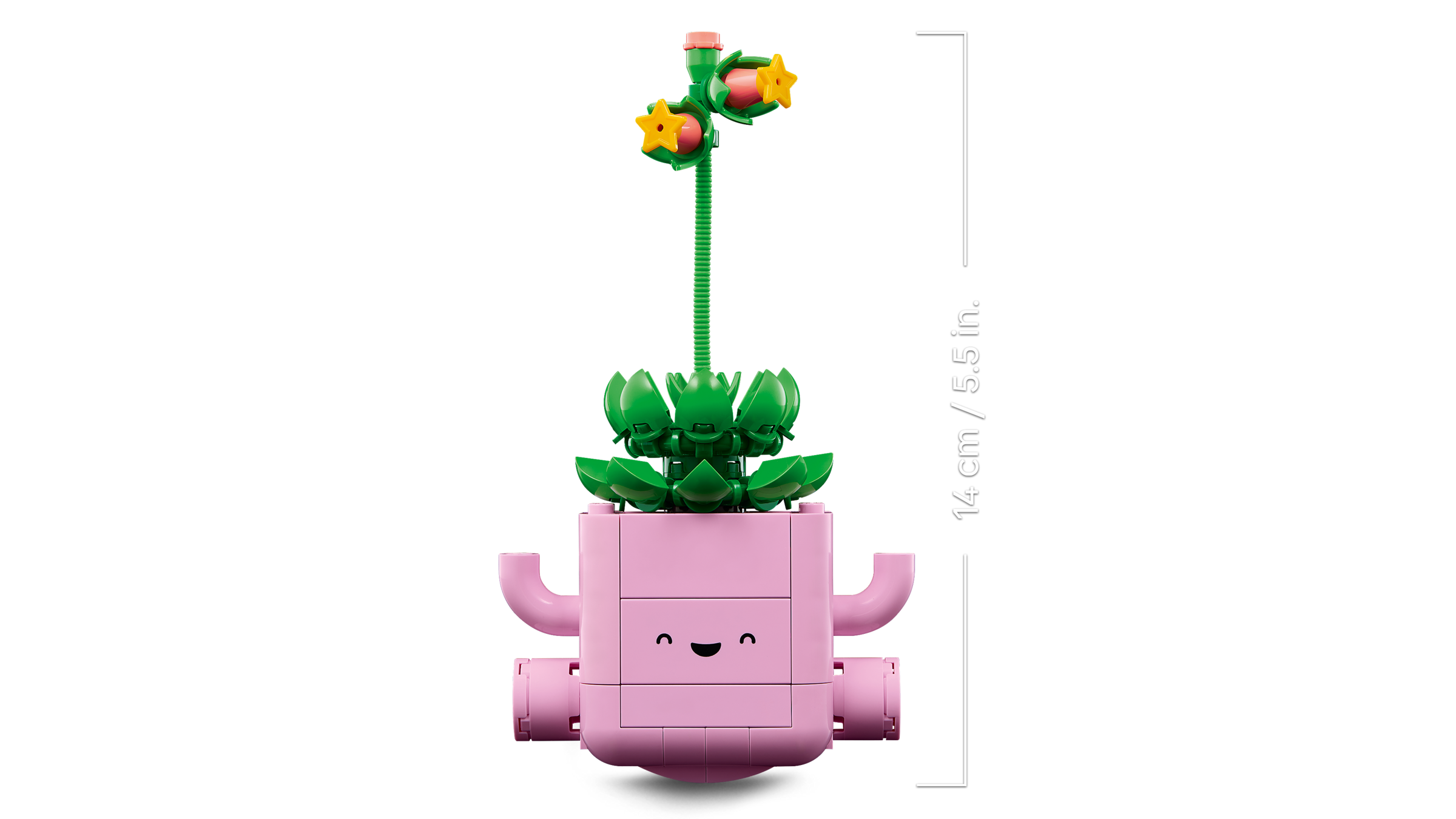 LEGO Botanicals Rocking Plants Building Set for Creative Display 11506