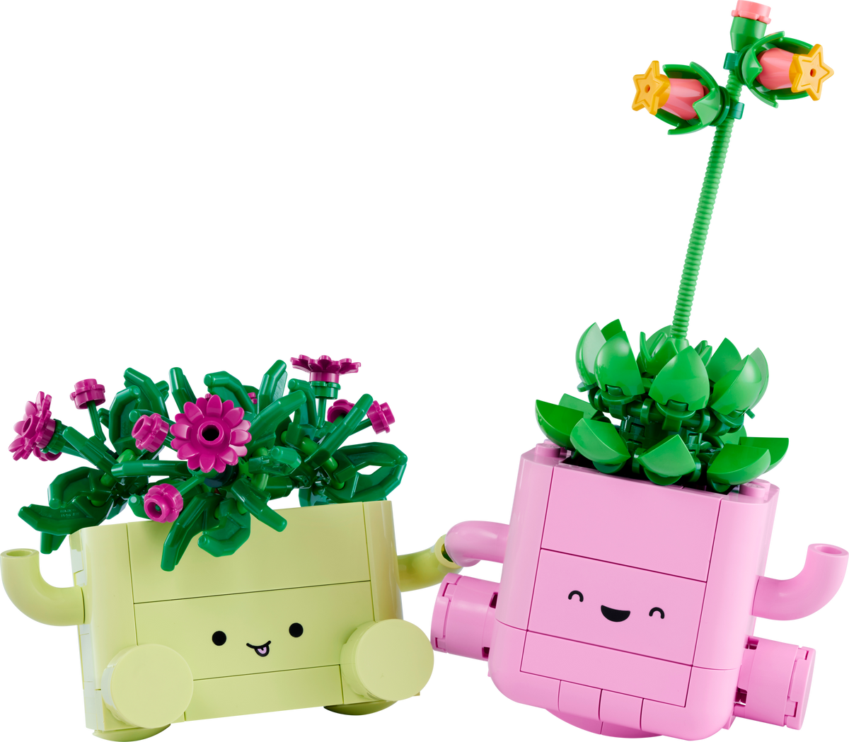LEGO Botanicals Rocking Plants Building Set for Creative Display 11506