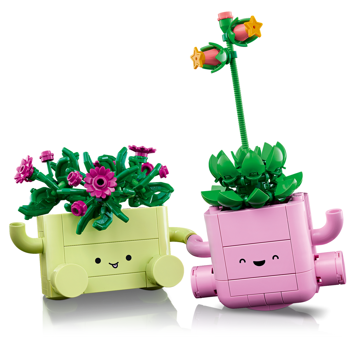 LEGO Botanicals Rocking Plants for Creative Display 11506-Bricking Lebanon