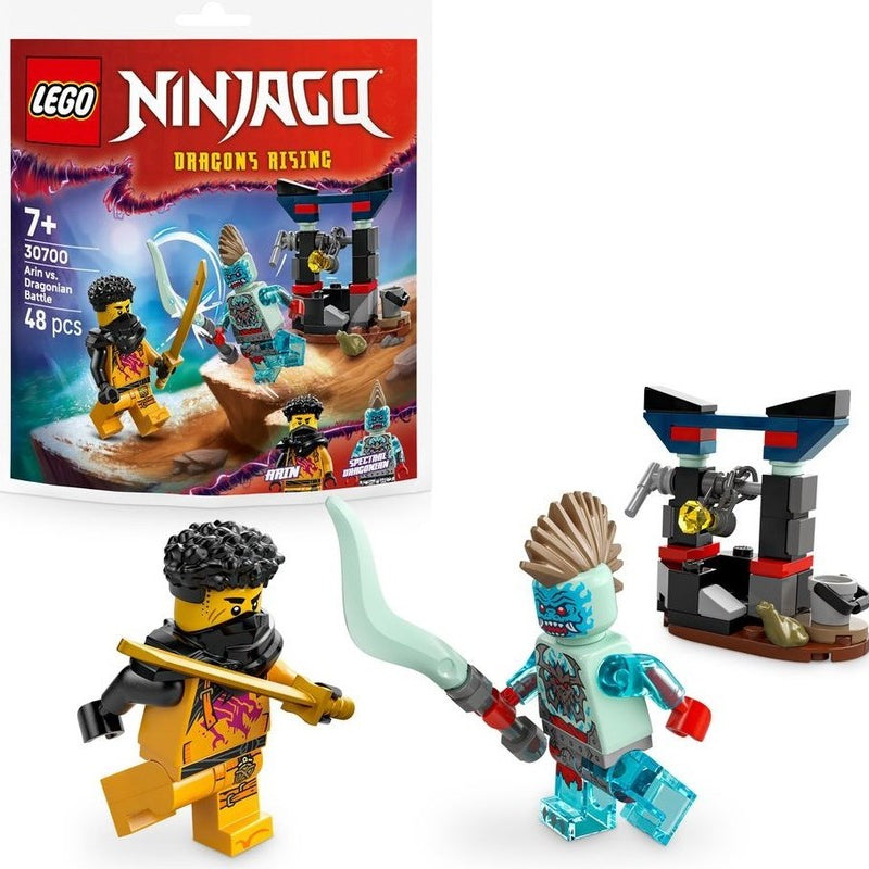 LEGO NINJAGO Arin vs. Dragonian Battle 30700-Bricking Lebanon