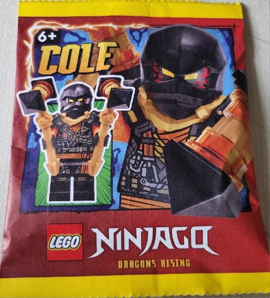 LEGO NINJAGO Cole Paper Bag #2 892408-Bricking Lebanon