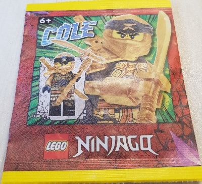 LEGO Ninjago Cole Paper Bag #1 892295-Bricking Lebanon