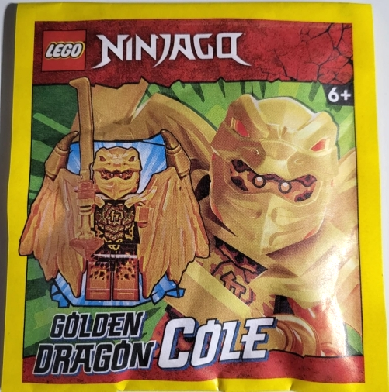 Lego Ninjago Paper Bag #892304 Golden Dragon Cole