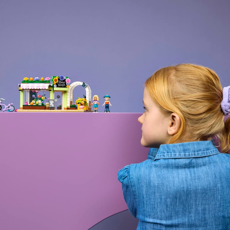https://www.lego.com/cdn/cs/set/assets/blt3d835183f7d1a2fa/blt09595536fe8674bc-42693_Lifestyle_Envr.jpg?fit=crop&quality=80&width=800&height=800&dpr=1