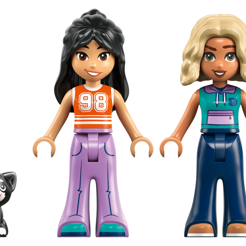 https://www.lego.com/cdn/cs/set/assets/bltb1a87f70cd1bfbd0/blt2a34d544bec8e03d-42682_WEB_Lineup_NOBG.png?fit=crop&quality=80&width=800&height=800&dpr=1