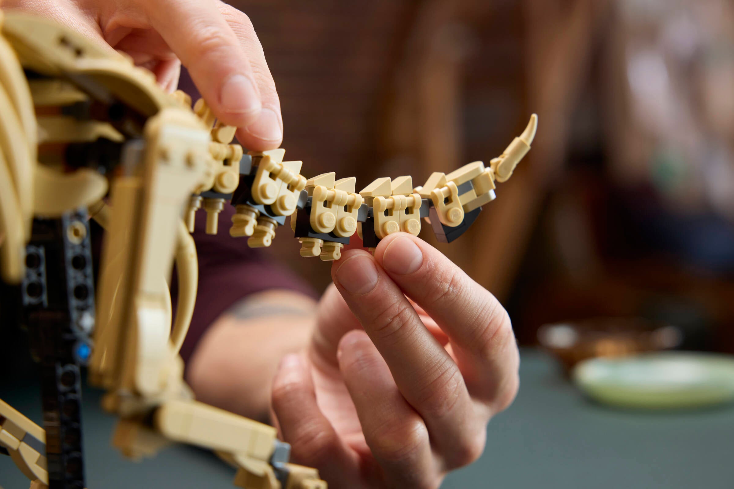 https://www.lego.com/cdn/cs/set/assets/bltbb754f682b393462/blt7dfb23345a86bf30-77985_Lifestyle_Build_04.jpg