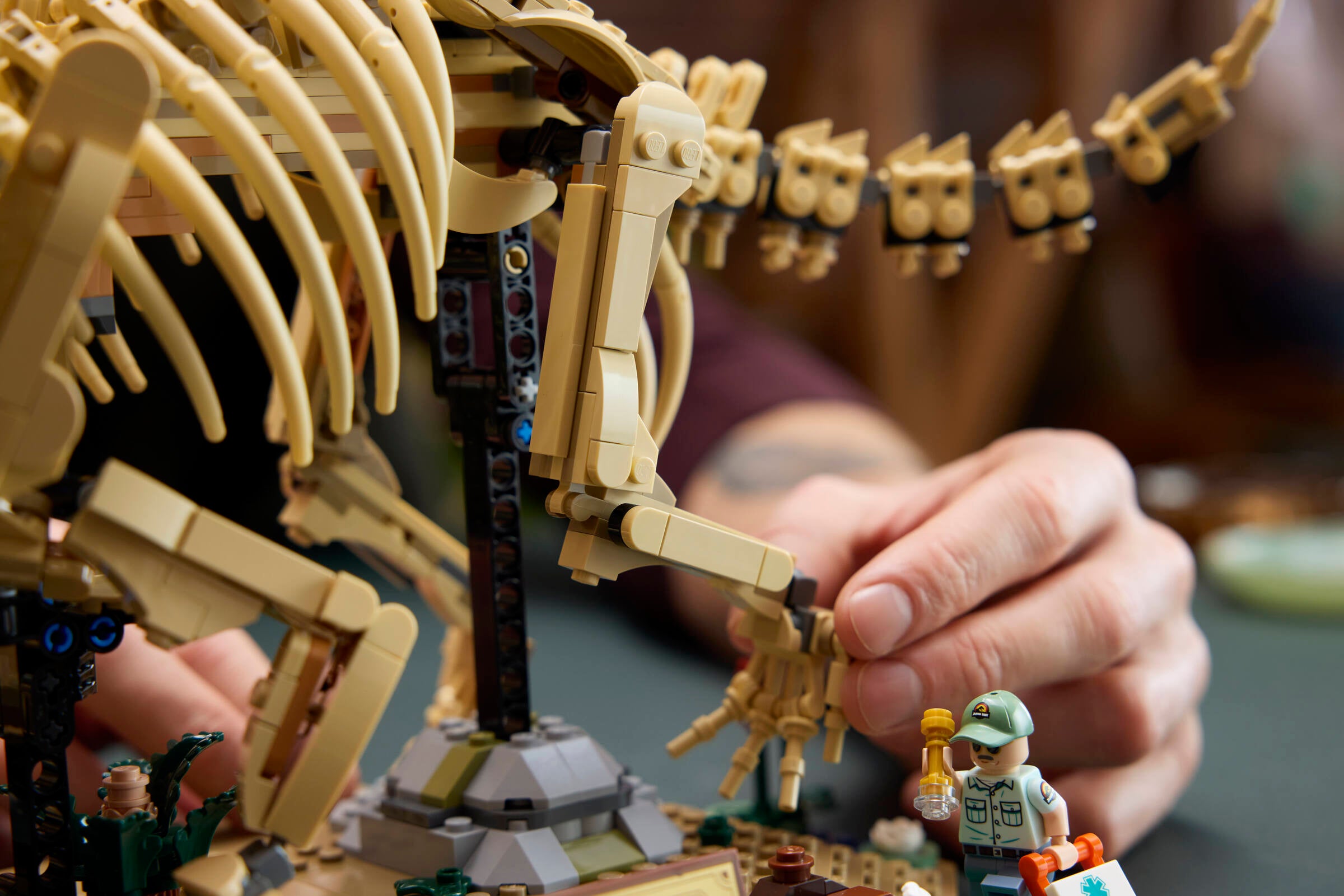 https://www.lego.com/cdn/cs/set/assets/blt294d8b4968af0e70/blt7dfb23345a86bf30-77985_Lifestyle_Build_05.jpg
