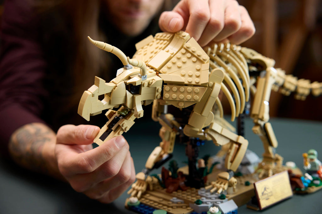https://www.lego.com/cdn/cs/set/assets/blt8a169ec52f4dcca5/blt7dfb23345a86bf30-77985_Lifestyle_Build_06.jpg