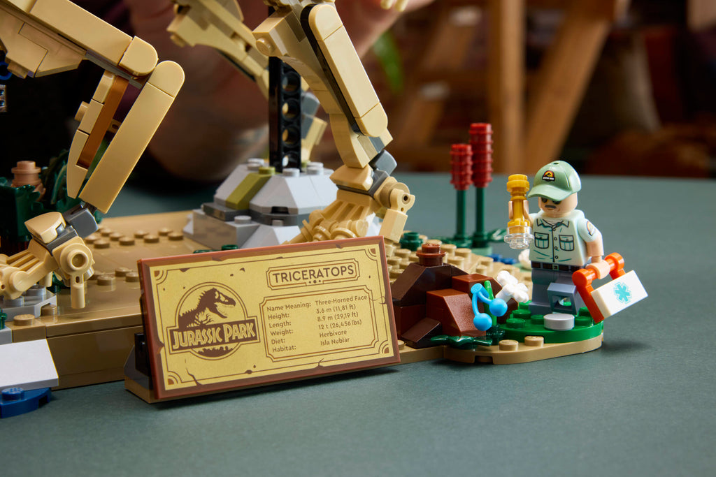 https://www.lego.com/cdn/cs/set/assets/blta7f8fc3fb26e2d08/blt7dfb23345a86bf30-77985_Lifestyle_Build_08.jpg