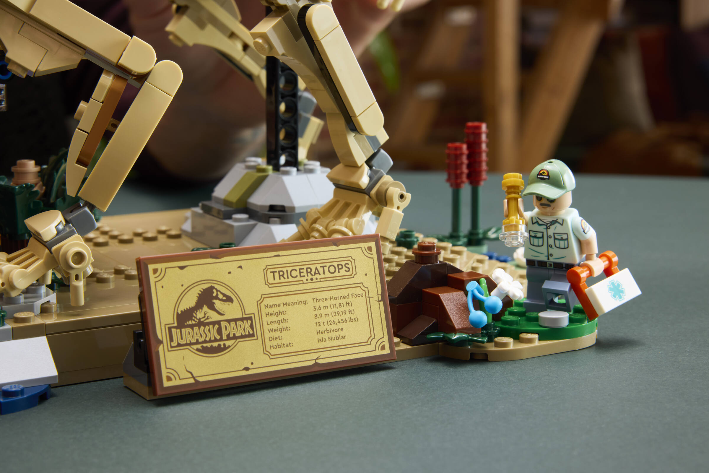 https://www.lego.com/cdn/cs/set/assets/blta7f8fc3fb26e2d08/blt7dfb23345a86bf30-77985_Lifestyle_Build_08.jpg