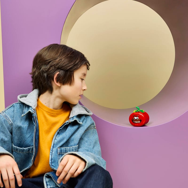 https://www.lego.com/cdn/cs/set/assets/bltc7f03980dbb9e6df/bltd99cbf541cfb8a9f-77079_Lifestyle_Envr.jpg?fit=crop&quality=80&width=800&height=800&dpr=1