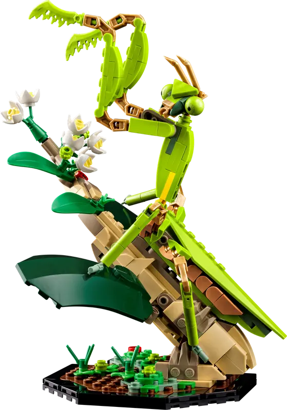 LEGO Ideas The Insect Collection-Bricking Lebanon