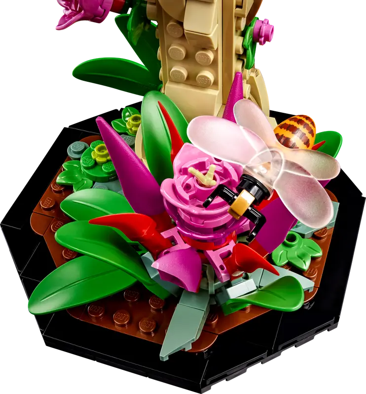 LEGO Ideas The Insect Collection-Bricking Lebanon