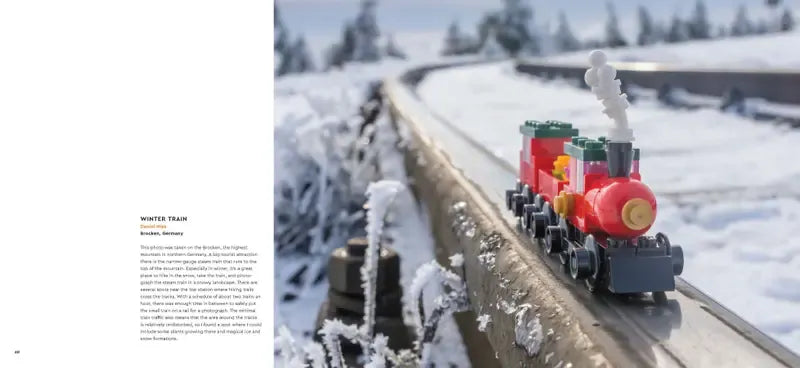 LEGO In Focus Book Lego Minifigures