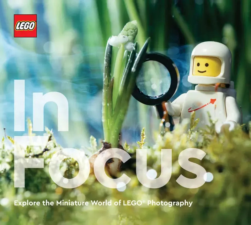 LEGO In Focus Book Lego Minifigures